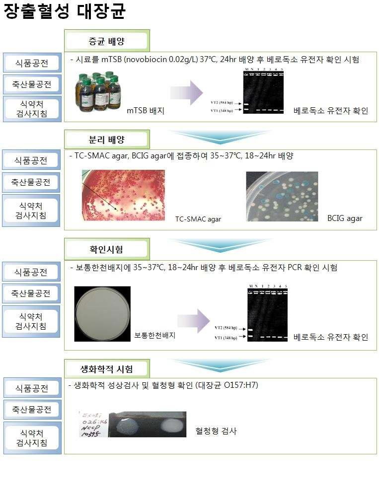 우리나라 공전시험법 중 장출혈성대장균 시험법 비교