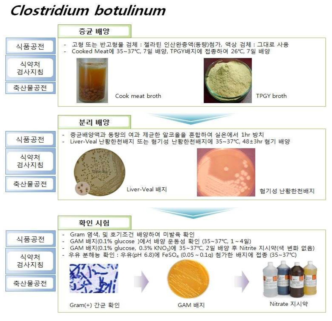 우리나라 공전시험법 중 Clostridium botulinum 시험법 비교