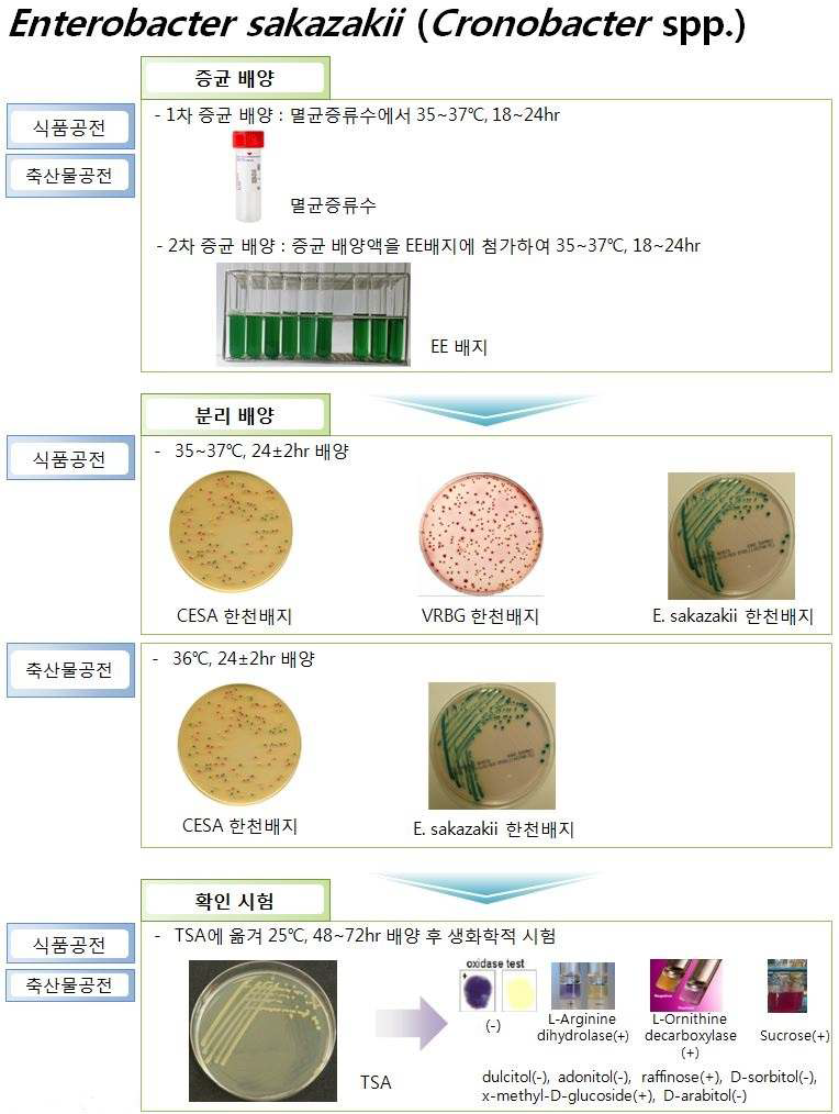 우리나라 공전시험법 중 Enterobacter sakazakii (Cronobacter spp.) 시험법 비교