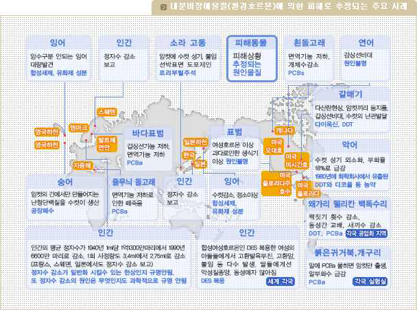 프탈레이트 등 내분비계 장애물질의 독성