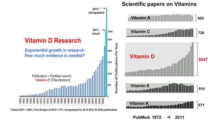 2011년 논문 검색 사이트 ‘Pudmed’ 의 비타민 D 관련 연구 현황
