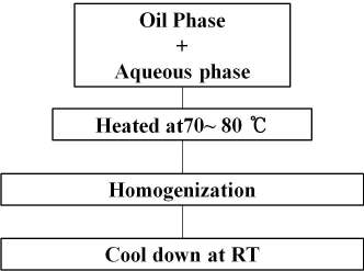 NLCs 제조를 위한 hot homogenization process