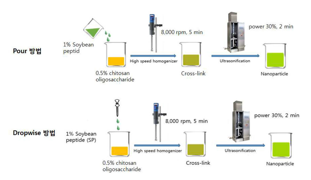 Soybean peptide-chitosan 나노입자의 제조방법