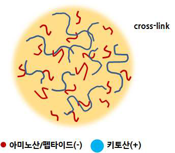 Soybean-peptide-chitosan 나노입자의 구조 및 형태