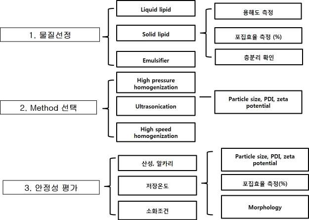 Vit D-NLCs 표준 제조법 확립 순서