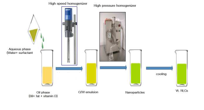 비타민 D NLCs의 표준 제조공정