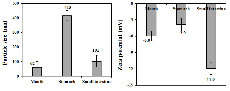 소화과정 중 soybean-peptide-chitosan 나노입자의 입자크기 및 제타전위