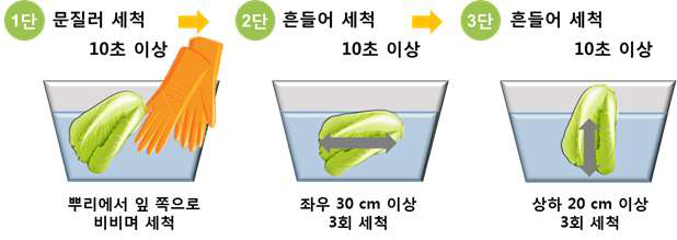 절임배추의 수동세척 방법