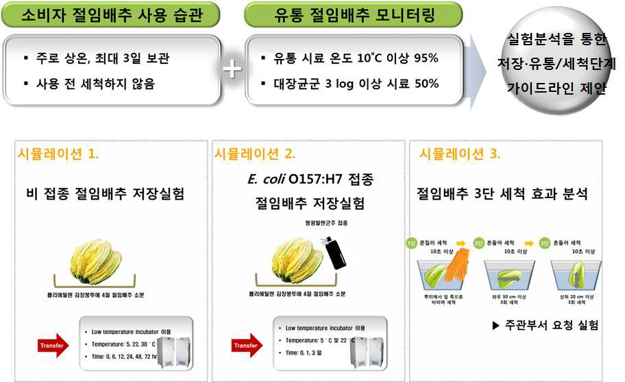 절임배추 유통 소비단계 미생물 위해평가 시뮬레이션 실험 개요