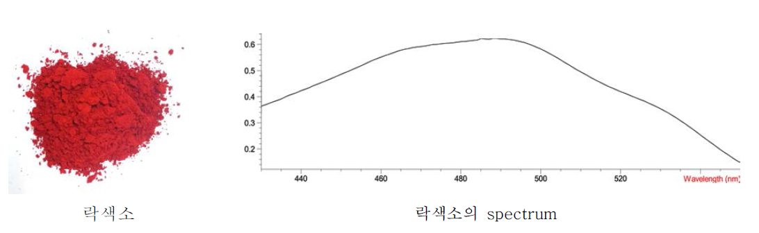 락색소 외관 및 락색소의 UV-spectrum