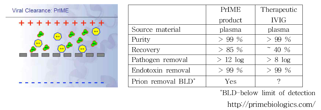 싱가포르 PrIME Biologics의 기술