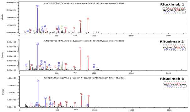 Rituximab 단백질 H:T34 (Cys371) peptide의 확인