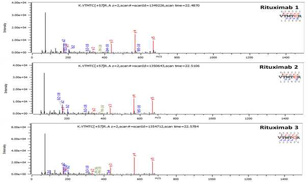 Rituximab 단백질 L:T2 (Cys23) peptide의 확인