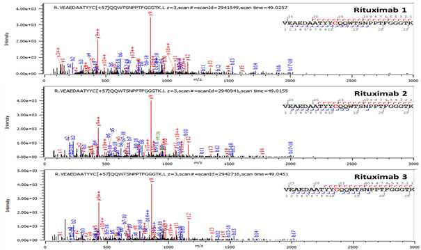 Rituximab 단백질 L:T5(Cys87) peptide의 확인