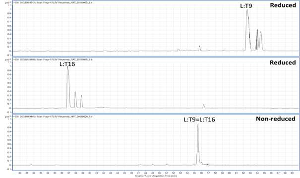 Rituximab 시료에서 확인되는 L:T9 및 L:T16 peptide (XIC)
