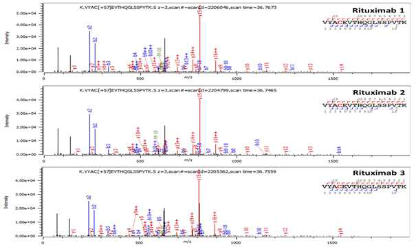 Rituximab 단백질 L:T16(Cys193) peptide의 확인