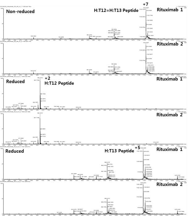 Rituximab 단백질 시료에서 확인되는 H:T12 및 H:T13 peptide (MS1)