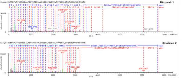 Rituximab 단백질 시료 H:T13 (Cys204) peptide의 확인