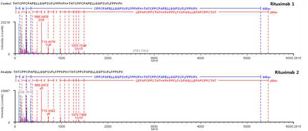 Rituximab 단백질 시료 H:Cys230-H:Cys230, H:Cys233-H:Cys233 disulfide bond의 확인
