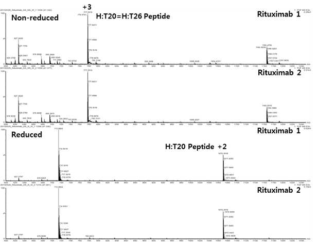 Rituximab 단백질 시료에서 확인되는 H:T20 및 H:T26 peptide (MS1)