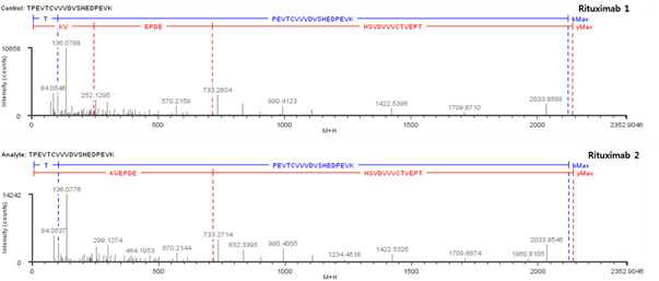Rituximab 단백질 시료 H:T20 (Cys265) peptide의 확인