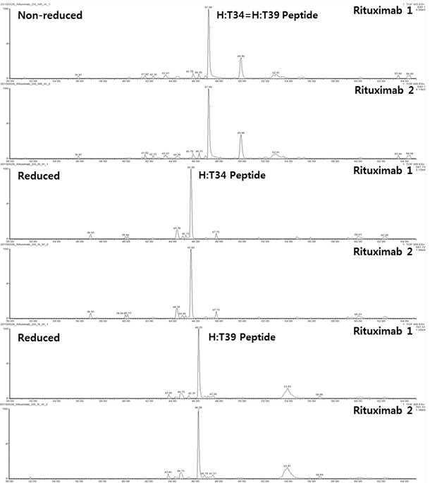 Rituximab 단백질 시료에서 확인되는 H:T34 및 H:T39 peptide (XIC)