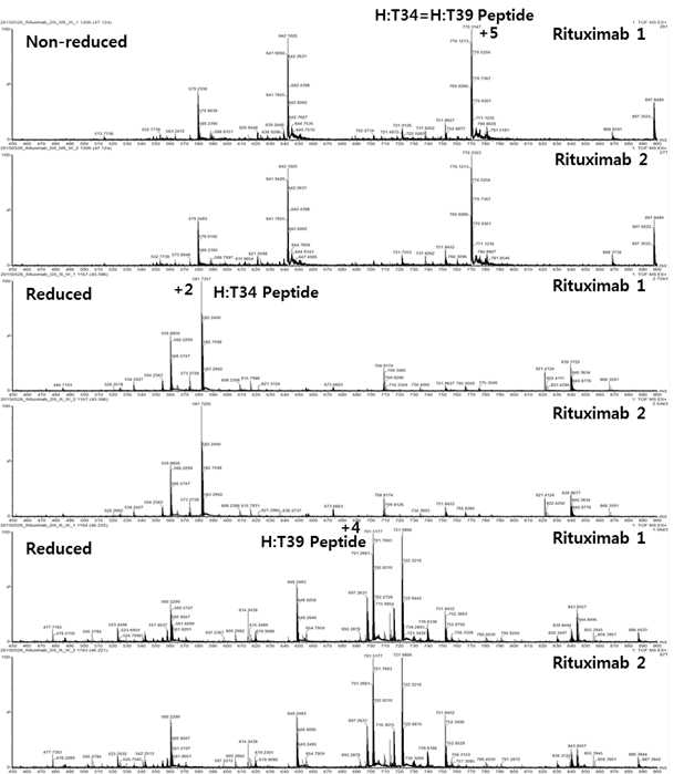 Rituximab 단백질 시료에서 확인되는 H:T34 및 H:T39 peptide (MS1)