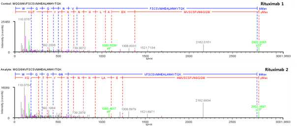 Rituximab 단백질 시료 H:T39 (Cys429) peptide의 확인