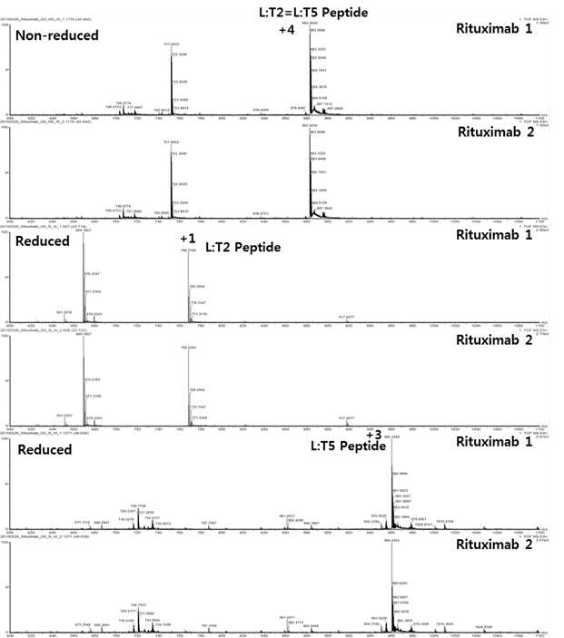 Rituximab 단백질 시료에서 확인되는 L:T2 및 L:T5 peptide (MS1)