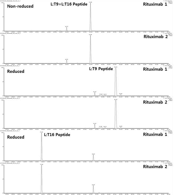 Rituximab 단백질 시료에서 확인되는 L:T9 및 L:T16 peptide (XIC)