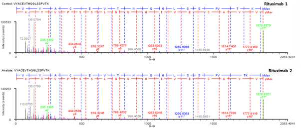 Rituximab 단백질 시료 L:T20 (Cys193) peptide의 확인