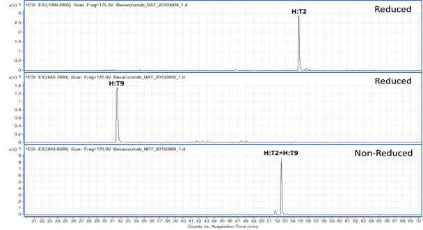 Bevacizumab 에서 확인되는 H:T2 및 H:T9 peptide (XIC)