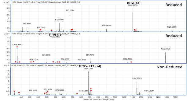 Bevacizumab 에서 확인되는 H:T2 및 H:T9 peptide (MS1)