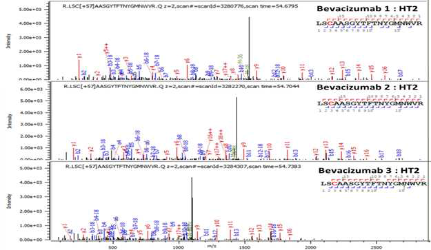 Bevacizumab 단백질 H:T2 (Cys22) peptide의 확인