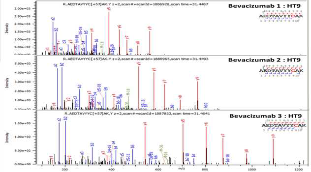Bevacizumab 단백질 H:T9 (Cys96) peptide의 확인