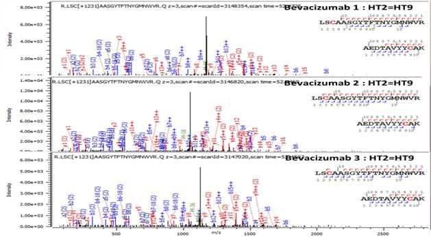 Bevacizumab 단백질 H:Cys22=H:Cys96 disulfide bond의 확인