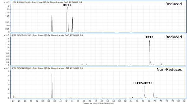 Bevacizumab 에서 확인되는 H:T12 및 H:T13 peptide (XIC)
