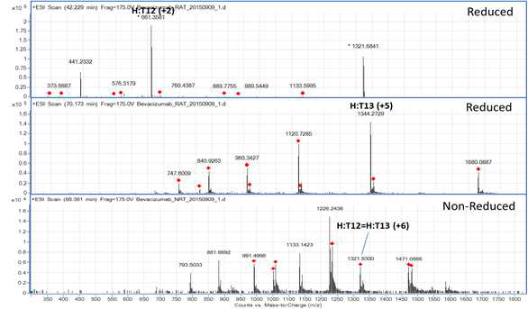 Bevacizumab 1 에서 확인되는 H:T12 및 H:T13 peptide (MS1)