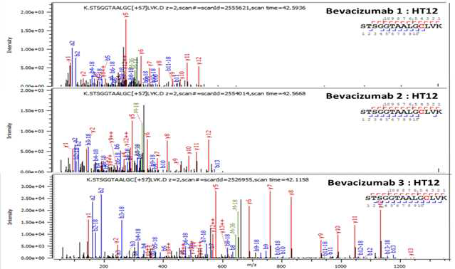 Bevacizumab 단백질 H:T12 (Cys150) peptide의 확인