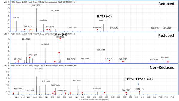 Bevacizumab 에서 확인되는 H:T17 및 L:T18 peptide (MS1)