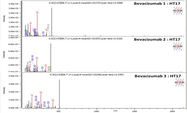 Bevacizumab 단백질 H:T17 (Cys226) peptide의 확인