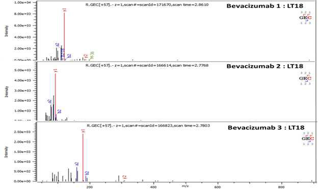 Bevacizumab 단백질 L:T18 (Cys214) peptide의 확인