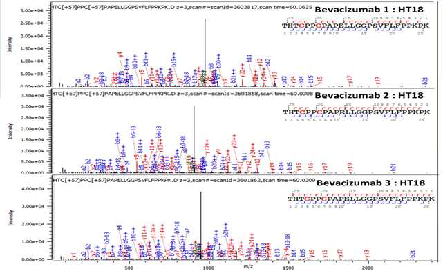 Bevacizumab 단백질 H:T18 (Cys232, Cys235) peptide의 확인