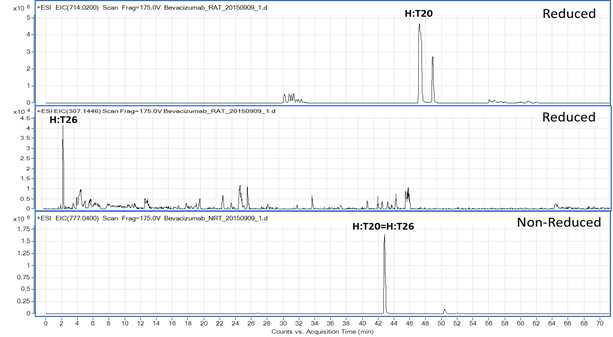 Bevacizumab 시료에서 확인되는 H:T20 및 H:T26 peptide (XIC)