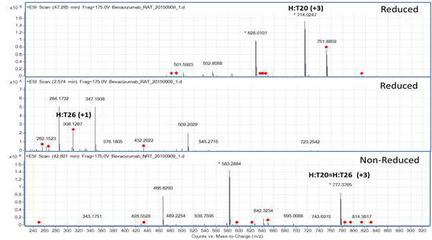 Bevacizumab 시료에서 확인되는 H:T20 및 H:T26 peptide (MS1)