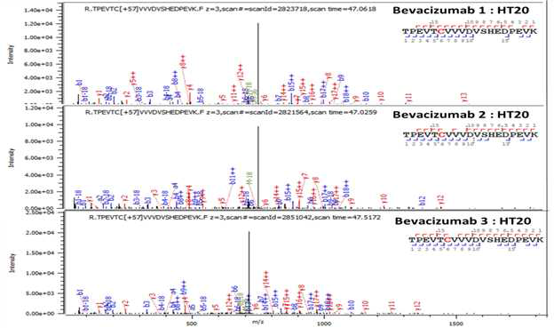 Bevacizumab 단백질 H:T20 (Cys267) peptide의 확인