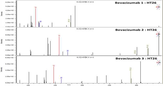 Bevacizumab 단백질 H:T26 (Cys327) peptide의 확인