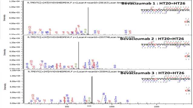 Bevacizumab 단백질 H:Cys267=H:Cys327 disulfide bond의 확인
