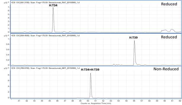 Bevacizumab 시료에서 확인되는 H:T34 및 H:T39 peptide (XIC)