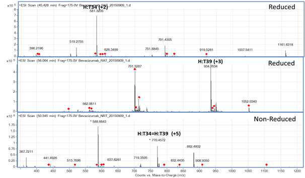 Bevacizumab 시료에서 확인되는 H:T34 및 H:T39 peptide (MS1)